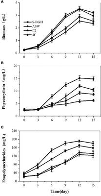 Integration Bioprocess of B-Phycoerythrin and Exopolysaccharides Production From Photosynthetic Microalga Porphyridium cruentum